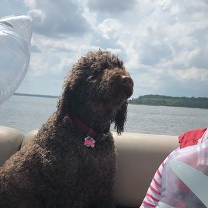 Meet your Posher, Paris